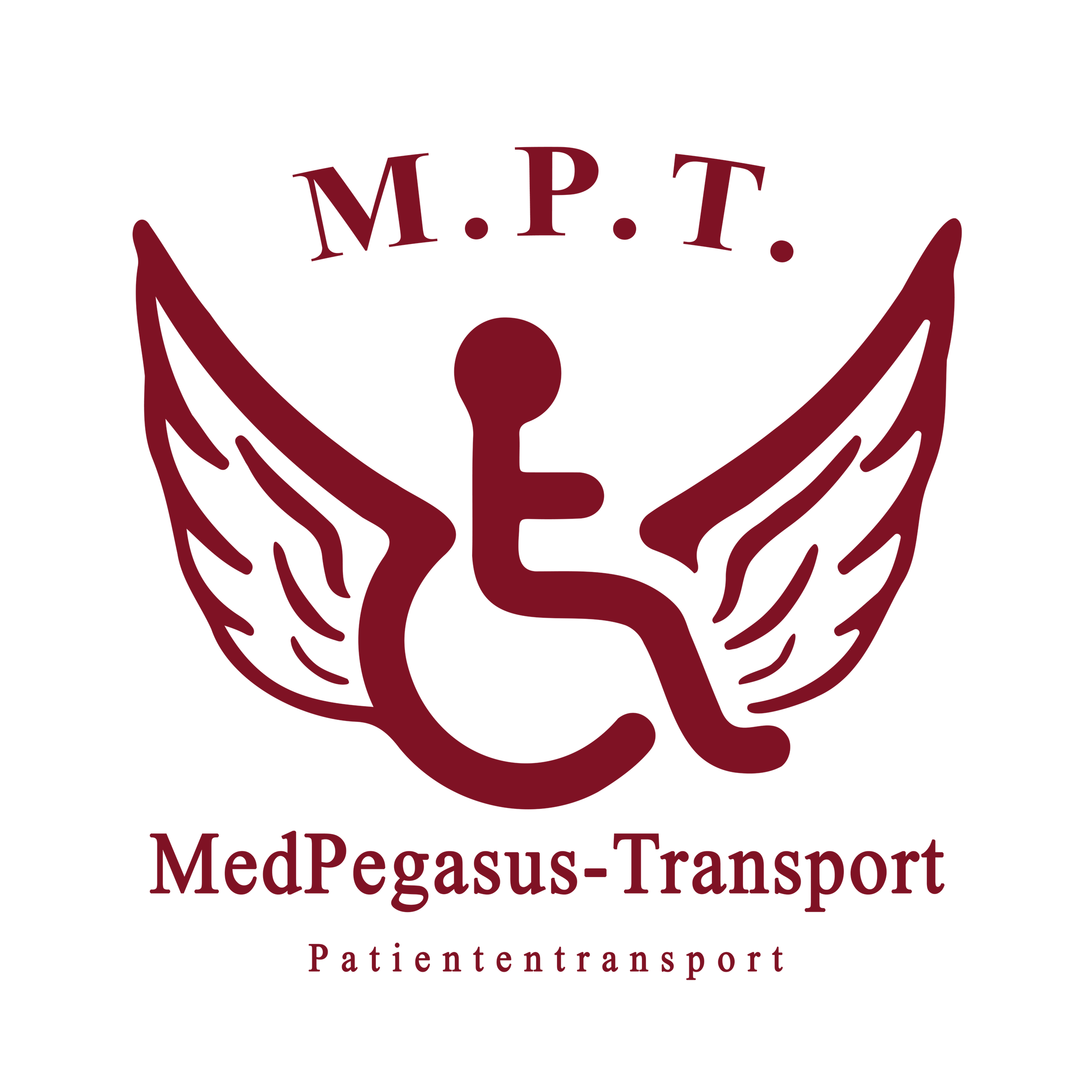 MedPegasus-Transporte